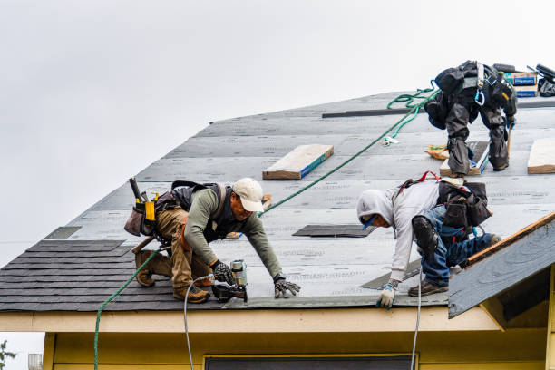 Professional Storm Damage Roof Repair technician working in Cortland, NY